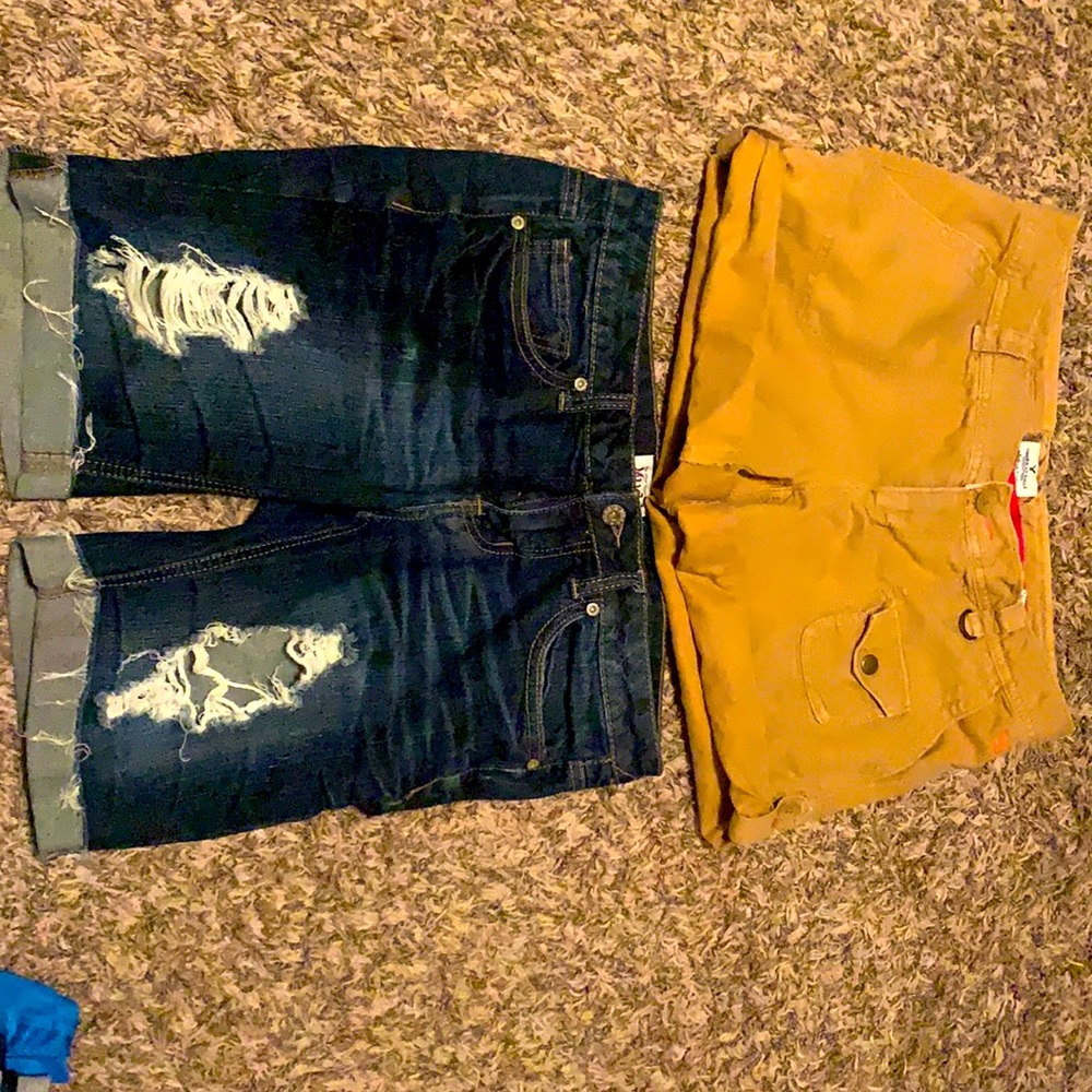Ladies shorts